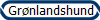  Se billeder af og ls om vores Grnlandshunde 